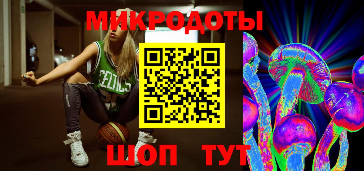 Псилоцибиновые грибы Psilocybine cubensis Прокопьевск